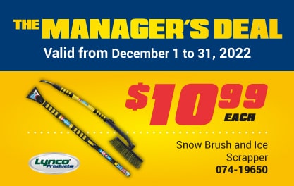 The Manager's Deal - Snow Brush and Ice Scrapper 074-19650